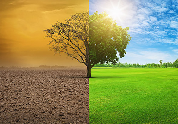 Coach certifiée à Québec